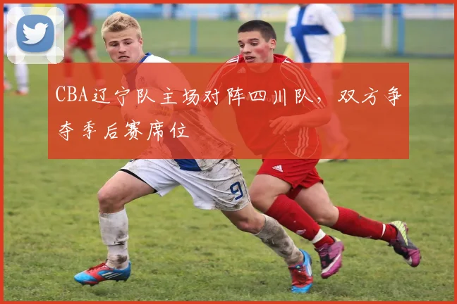 CBA辽宁队主场对阵四川队，双方争夺季后赛席位